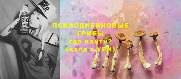 а пвп мука Надым