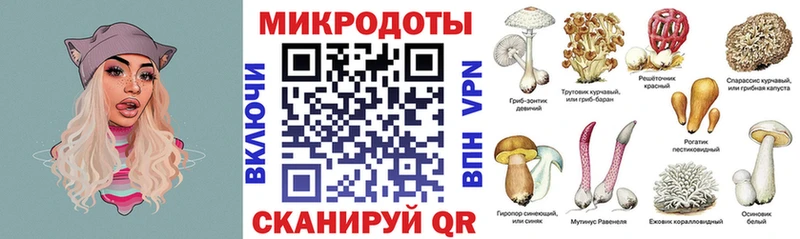 Галлюциногенные грибы ЛСД  Гаврилов Посад 